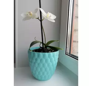 Горщик для квітів 3л Alya Plastik PINE CONE (ALY-407) Горщик для квітів 3л Alya Plastik PINE CONE (ALY-407)